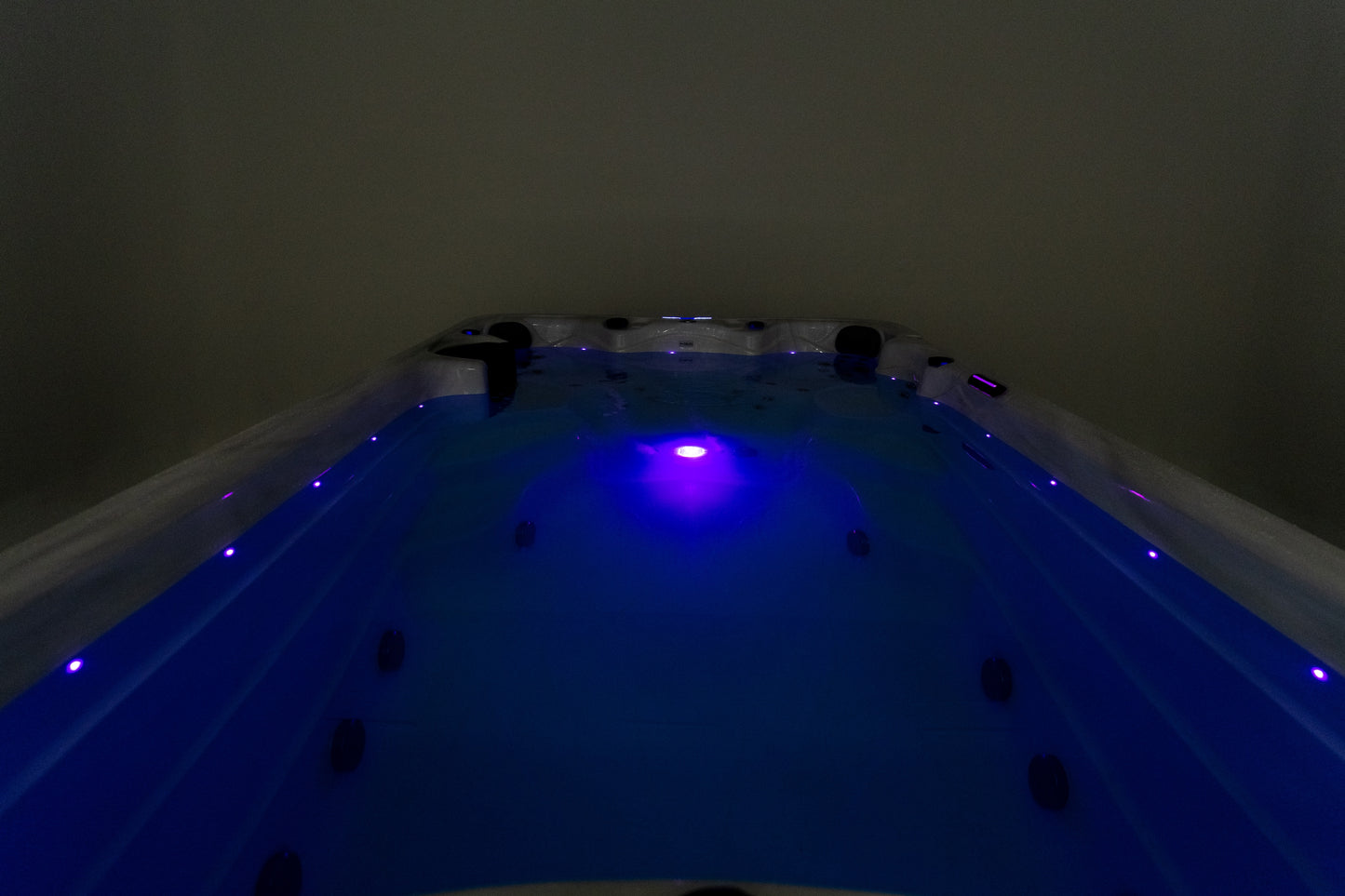 Neptune Swim Spa